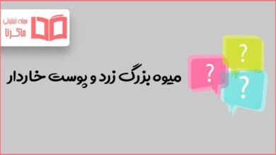 میوه بزرگ زرد و پوست خاردار