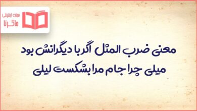 معنی ضرب المثل اگر با دیگرانش بود میلی چرا جام مرا بشکست لیلی