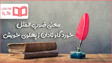 معنی ضرب المثل خورد گاو نادان ز پهلوی خویش