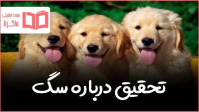 تحقیق دانش آموزی درباره سگ
