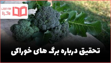 تحقیق درباره برگ های خوراکی