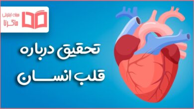 تحقیق درباره قلب انسان