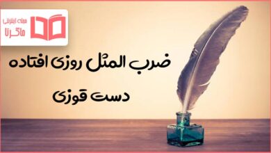 معنی ضرب المثل روزی افتاده دست قوزی