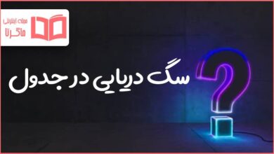 سگ دریایی در جدول