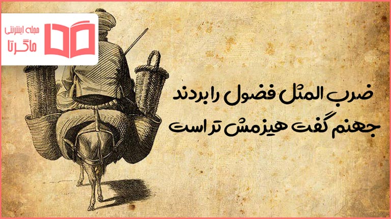 معنی ضرب المثل فضول را بردند جهنم گفت هیزمش تر است