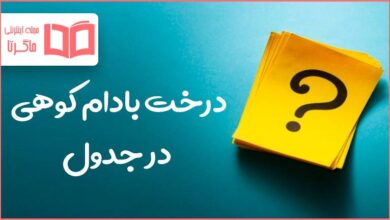 درخت بادام کوهی در جدول