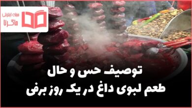 توصیف حس و حال طعم لبوی داغ در یک روز برفی نگارش هشتم