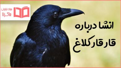 انشا درباره قار قار کلاغ