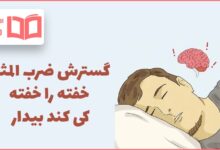 گسترش ضرب المثل خفته را خفته کی کند بیدار