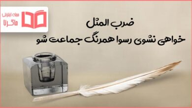 معنی ضرب المثل خواهی نشوی رسوا همرنگ جماعت شو