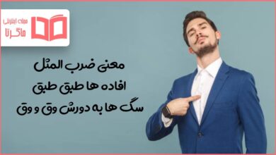 معنی ضرب المثل افاده ها طبق طبق سگ ها به دورش وق و وق
