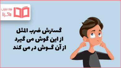 گسترش ضرب المثل از این گوش می گیرد، از آن گوش در می کند