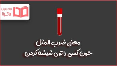 معنی ضرب المثل خون کسی را توی شیشه کردن