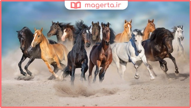 تحقیق در مورد انواع اسب ها و نژاد آن ها