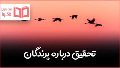 تحقیق درباره پرندگان