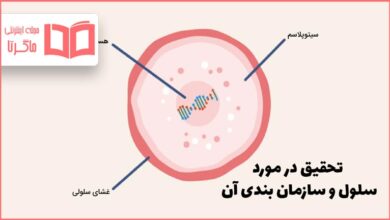 تحقیق در مورد سلول و سازمان بندی آن