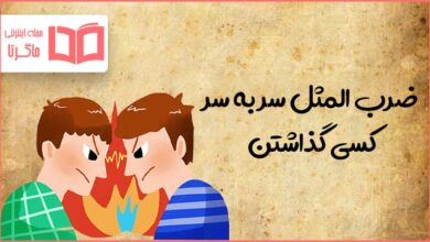 معنی ضرب المثل سر به سر کسی گذاشتن