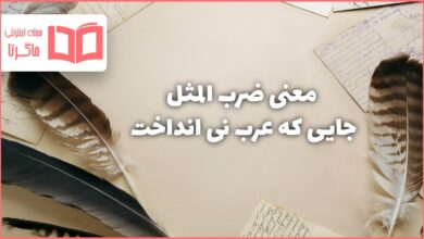 معنی ضرب المثل جایی که عرب نی انداخت