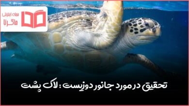 تحقیق در مورد جانور دوزیست لاک پشت