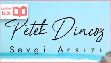 متن و ترجمه آهنگ Sevgi Arsızı از Petek Dinçöz