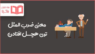 معنی ضرب المثل توی هچل افتادن