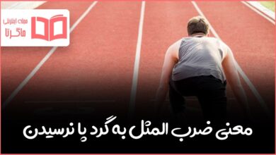 معنی ضرب المثل به گرد پا نرسیدن