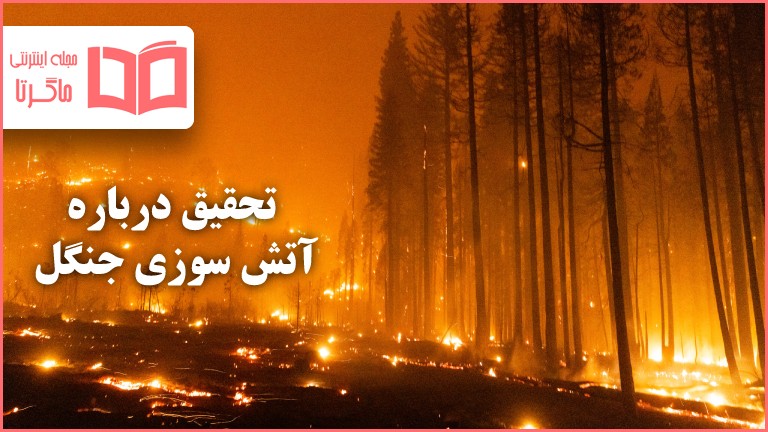 تحقیق درباره آتش سوزی جنگل 