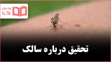 تحقیق درباره سالک کلاس ششم