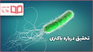 تحقیق درباره باکتری