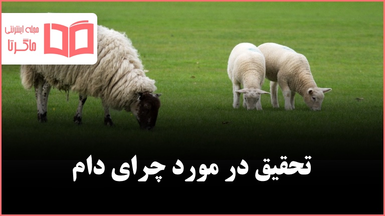 تحقیق در مورد چرای دام کلاس پنجم