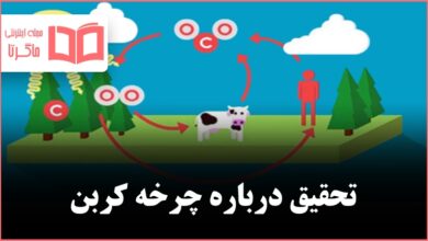 تحقیق درباره چرخه کربن علوم نهم