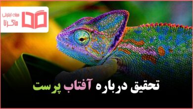 تحقیق درباره آفتاب پرست ها