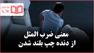 معنی ضرب المثل از دنده چپ بلند شدن