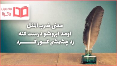 معنی ضرب المثل اومد ابروشو درست کنه زد چشمشم کور کرد