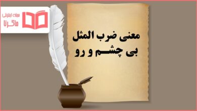 معنی ضرب المثل بی چشم و رو
