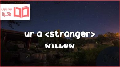 متن و ترجمه آهنگ ur a stranger از WILLOW