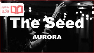 متن و ترجمه آهنگ The Seed از AURORA