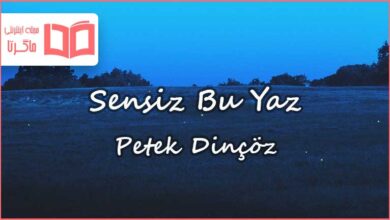 متن و ترجمه آهنگ Sensiz Bu Yaz از Petek Dinçöz