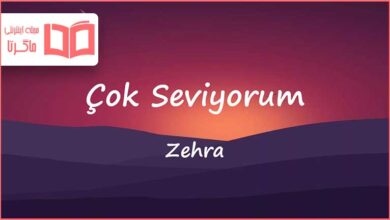 متن و ترجمه آهنگ Çok Seviyorum از Zehra