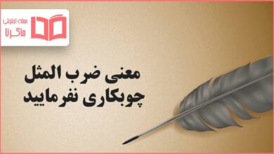 معنی ضرب المثل چوبکاری نفرمایید