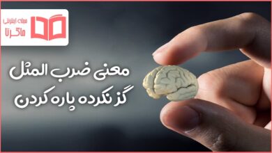 معنی ضرب المثل گز نکرده پاره کردن