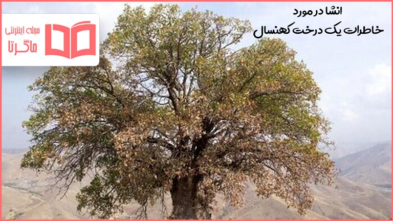 انشا در مورد خاطرات یک درخت کهنسال