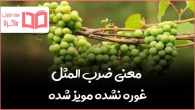 معنی ضرب المثل غوره نشده مویز شده