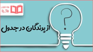 از پرندگان در جدول