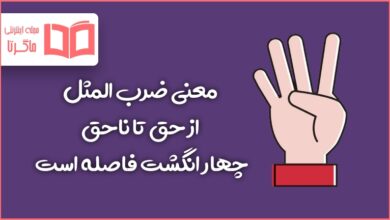 معنی ضرب المثل از حق تا ناحق چهار انگشت فاصله است