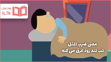 معنی ضرب المثل تب تند زود عرق می کنه