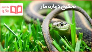 تحقیق درباره مار
