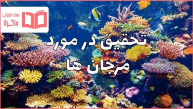 تحقیق در مورد مرجان