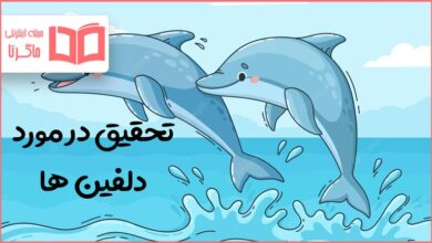 تحقیق در مورد دلفین ها