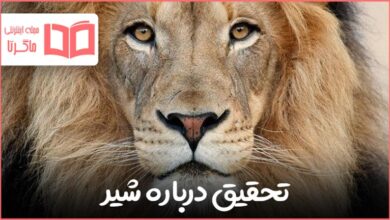 تحقیق در مورد شیر